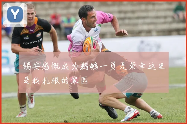 锡安感慨成为鹈鹕一员是荣幸这里是我扎根的家园
